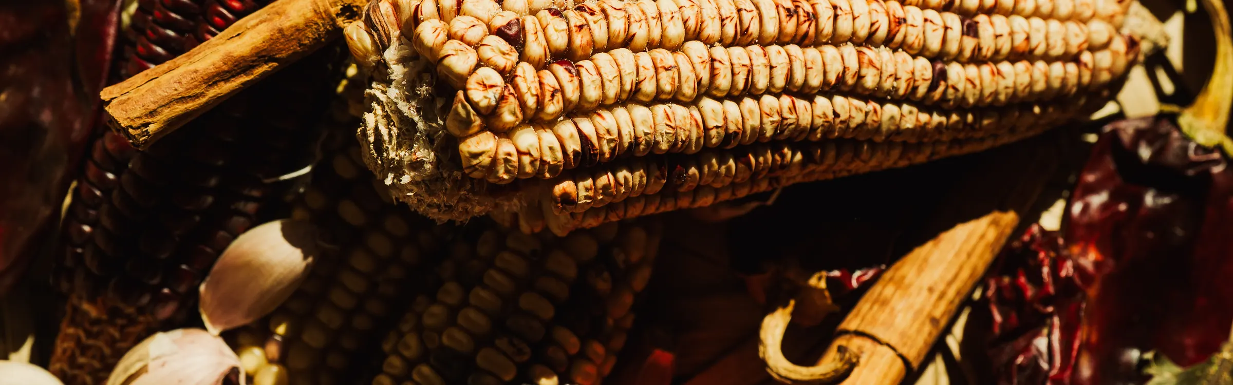 Mazorcas de maíz criollo, chiles secos, ajo y canela en un tenate de palma tejida